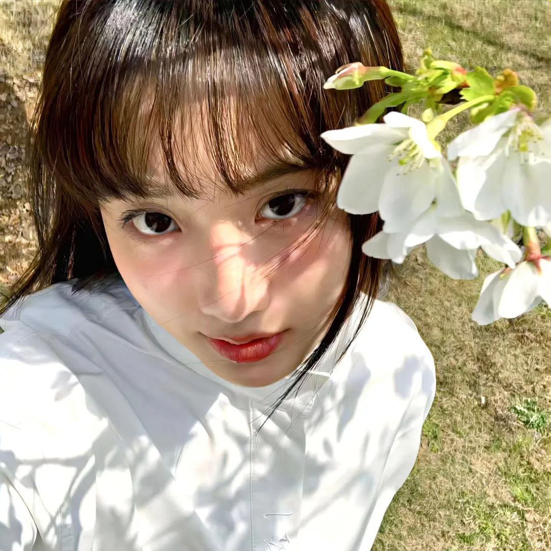 我的行李箱通末世